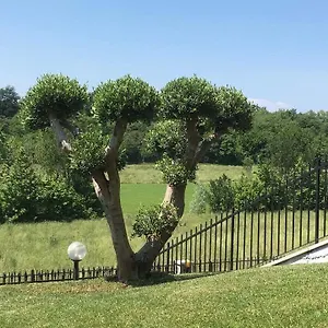  Villa Elisa Relax